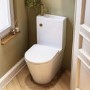 Close Coupled Closed Back Toilet with Sink on Top & Brass Fittings Cloakroom Suite - Legend