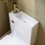 Close Coupled Closed Back Toilet with Sink on Top & Brass Fittings - Legend