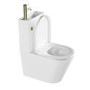 Close Coupled Closed Back Toilet with Sink on Top & Brass Fittings Cloakroom Suite - Legend