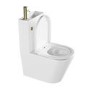 Close Coupled Closed Back Toilet with Sink on Top & Brass Fittings - Legend