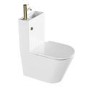 Close Coupled Closed Back Toilet with Sink on Top & Brass Fittings Cloakroom Suite - Legend