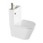 Close Coupled Closed Back Toilet with Sink on Top & Brass Fittings - Legend