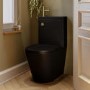 Matt Black Close Coupled Closed Back Toilet with Brass Fittings & Sink on Top - Legend