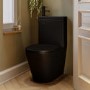 Matt Black Close Coupled Closed Back Toilet with Sink on Top & Black Fittings Cloakroom Suite - Legend