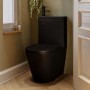 Matt Black Close Coupled Closed Back Toilet with Sink on Top & Black Fittings Cloakroom Suite - Legend