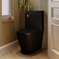 Matt Black Close Coupled Closed Back Toilet with Sink on Top & Brass Fittings Cloakroom Suite - Legend Matt Black Close Coupled Closed Back Toilet with Sink on Top & Brass Fittings Cloakroom Suite - Legend