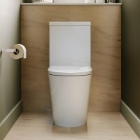 Close Coupled Rimless Closed Back Short Projection Toilet with Brushed Brass Button and Tornado Flush - Newport