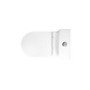 Close Coupled Rimless Closed Back Short Projection Toilet with Chrome Button and Tornado Flush - Newport