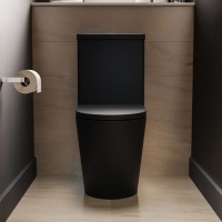 Matt Black Close Coupled Rimless Closed Back Short Projection Toilet with Brushed Brass Button and Tornado Flush - Newport