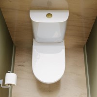 Close Coupled Rimless Open Back Short Projection Toilet with Brushed Brass Button and Tornado Flush - Newport