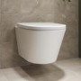 ALMOST PERFECT - Wall Hung Rimless Short Projection Toilet with Soft Close Seat – Newport