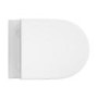 ALMOST PERFECT - Wall Hung Rimless Short Projection Toilet with Soft Close Seat – Newport