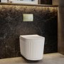 Fluted Wall Hung Toilet with Soft Close Seat, Brushed Brass Pneumatic Flush Plate, 820mm Frame & Cistern - Oregon
