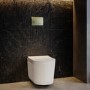 Fluted Wall Hung Toilet with Soft Close Seat, Brushed Brass Pneumatic Flush Plate, 1160mm Frame & Cistern - Oregon