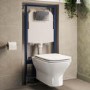 Palma Wall Hung Toilet 820mm Pneumatic Frame & Cistern & Brushed Brass Flush Plate