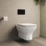 Palma Wall Hung Toilet 1160mm Mechanical WC Frame & Cistern & Black Mechanical Flush Plate