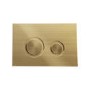 Wall Hung Rimless Toilet with Soft Close Seat, Brushed Brass Mechanical Flush Plate, 1168mm Frame & Cistern – Palma