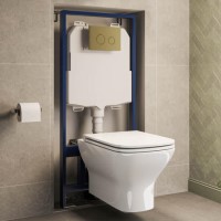 Wall Hung Rimless Toilet with Soft Close Seat, Brushed Brass Mechanical Flush Plate, 1168mm Frame & Cistern – Palma