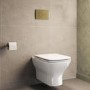 Wall Hung Rimless Toilet with Soft Close Seat, Brushed Brass Mechanical Flush Plate, 1168mm Frame & Cistern – Palma