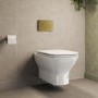 Wall Hung Rimless Toilet with Soft Close Seat, Brushed Brass Mechanical Flush Plate, 1168mm Frame & Cistern – Palma