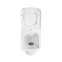 Wall Hung Rimless Toilet with Soft Close Seat, Brushed Brass Mechanical Flush Plate, 1168mm Frame & Cistern – Palma