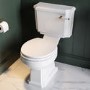 Close Coupled Traditional Toilet with Wooden Soft Close Seat & Brass Fittings - Park Royal