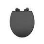 Close Coupled Traditional Low Level Short Projection Toilet with Black Wooden Soft Close Seat & Black Fittings - Park Royal
