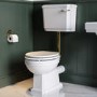 Close Coupled Traditional Low Level Short Projection Toilet with Wooden Soft Close Seat & Brass Fittings - Park Royal