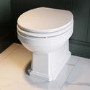 Back to Wall Traditional Toilet with Wooden Soft Close Seat & Black Hinges - Park Royal