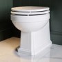 Back to Wall Traditional Toilet with Wooden Soft Close Seat & Black Hinges - Park Royal