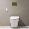 Wall Hung Smart Bidet Round Toilet with Heated Seat &amp; 1160mm Frame Cistern and Brass Pneumatic Flush Plate - Purificare