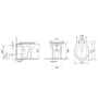 Back to Wall Rimless Toilet and Black Wooden Soft Close Seat – Ripley