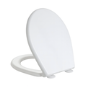 ONLY OPENED - Back to Wall Rimless Toilet and Soft Close Seat - Ripley
