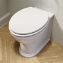 Back to Wall Rimless Toilet and Soft Close Seat with Brushed Brass Hinges - Ripley
