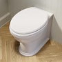 Back to Wall Rimless Toilet and Soft Close Seat with Matt Black Hinges - Ripley