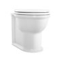 Back to Wall Rimless Toilet and Soft Close Seat with Matt Black Hinges - Ripley