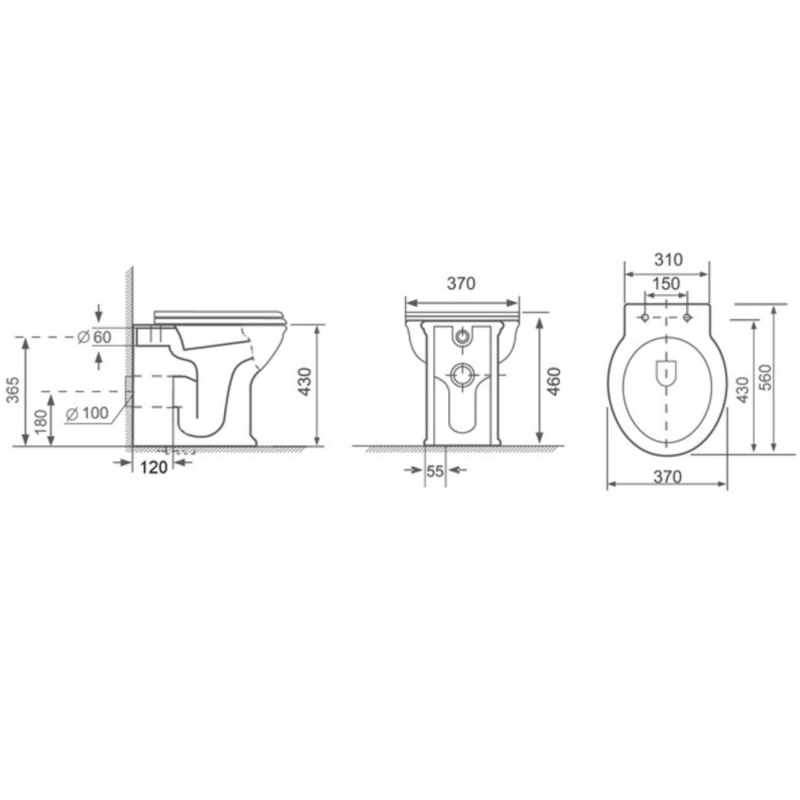 Back to Wall Rimless Toilet and Soft Close Seat with Brushed Brass Hinges - Ripley