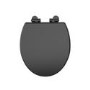 Close Coupled Rimless Toilet with Black Wooden Soft Close Seat – Ripley
