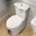 BUN/RIPCCPAN/98121 Close Coupled Rimless Toilet with Soft Close Seat and Brushed Brass Fittings - Ripley