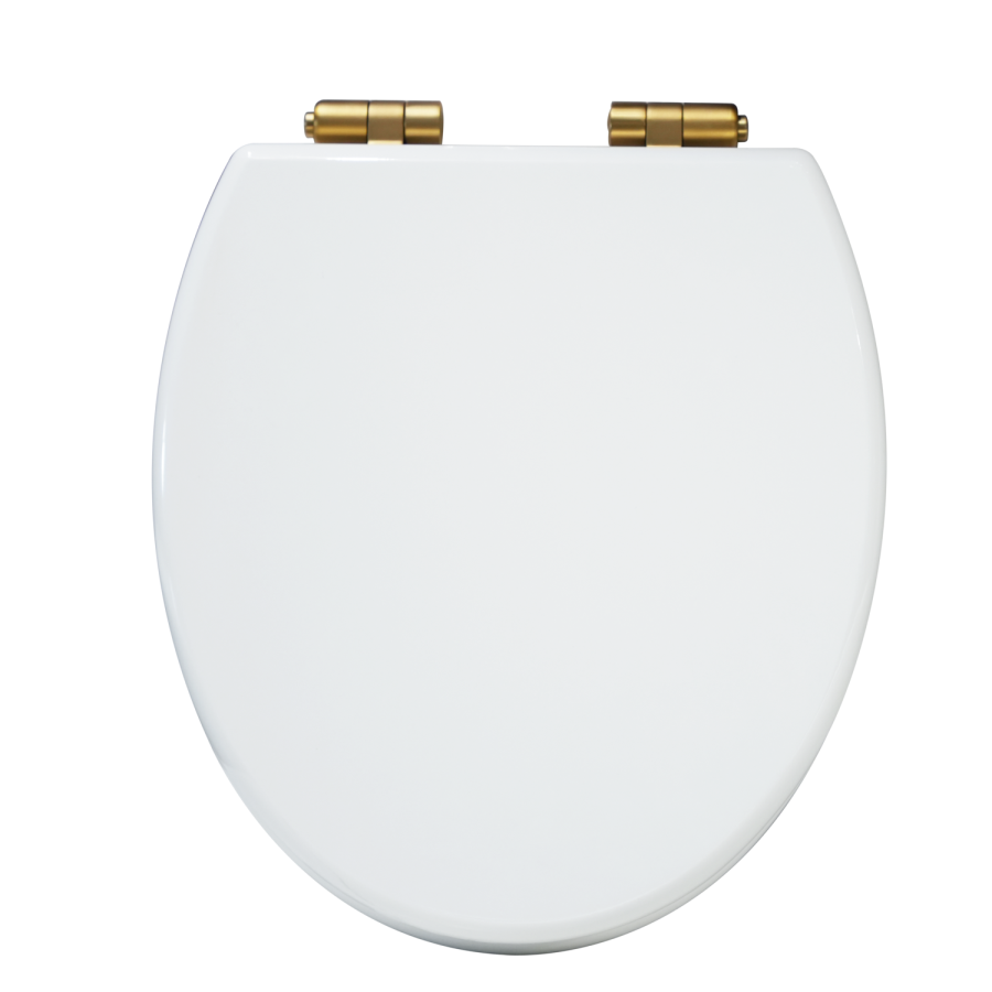Close Coupled Rimless Toilet with Soft Close Seat and Brushed Brass Fittings - Ripley