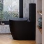 Matt Black Comfort Height Close Coupled Toilet - Roma
