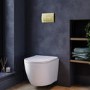 Wall Hung Rimless Toilet with Soft Close Seat, Brushed Brass Pneumatic Flush Plate, 1168mm Frame & Cistern – Roma