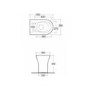 Comfort Height Back to Wall Toilet with Soft Close Seat - RAK Resort