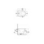 Rimless Wall Hung Toilet with Soft Closed Seat - RAK Resort