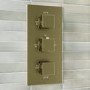 Brushed Brass 2 Outlet Wall Mounted Thermostatic Mixer Shower Set with Bath Filler Spout - Zana