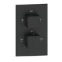 Matt Black 2 Outlet Shower With Wall Mounted 250mm Shower Head and Bath Spout - Zana
