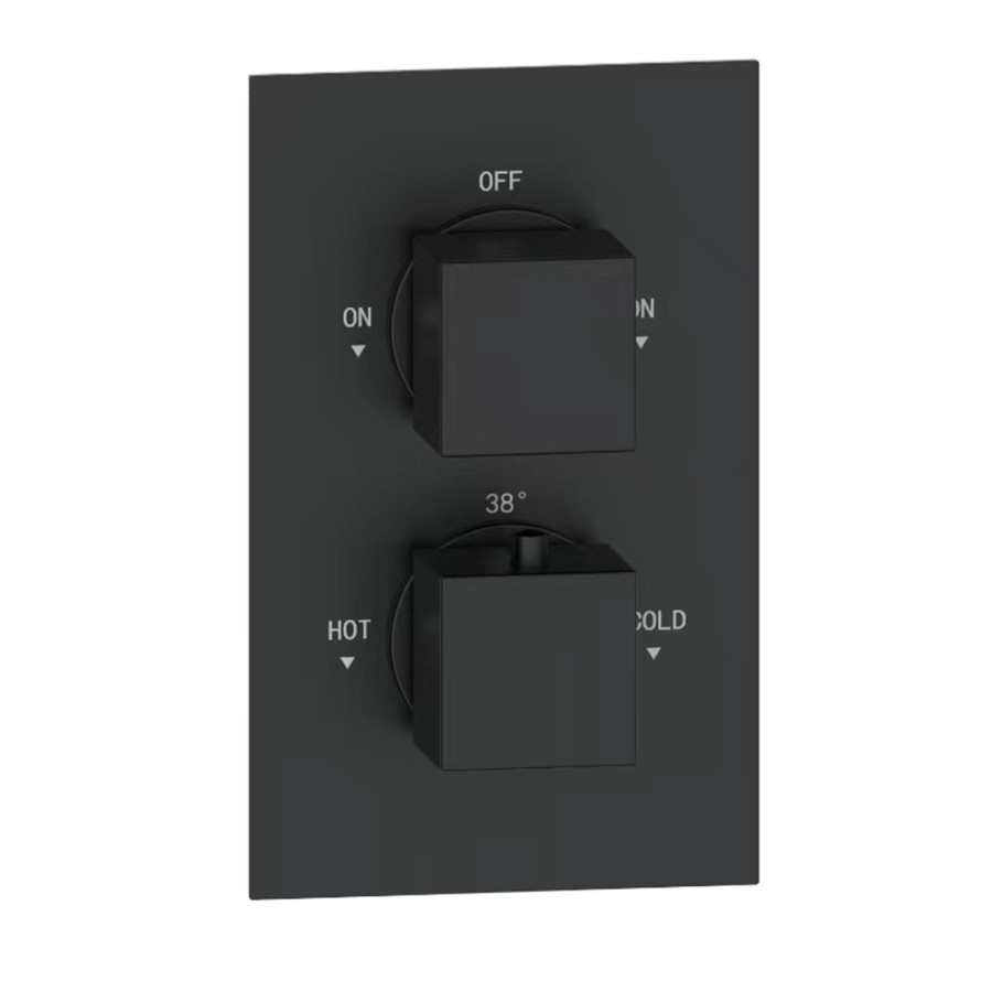 Matt Black 2 Outlet Shower With Wall Mounted 250mm Shower Head and Bath Spout - Zana