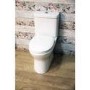 Rimless Close Coupled Toilet with Soft Close Seat