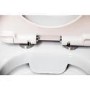Rimless Close Coupled Toilet with Soft Close Seat