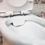 Rimless Close Coupled Toilet with Soft Close Seat